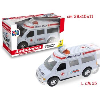 Amnulanza Teorema 08113999