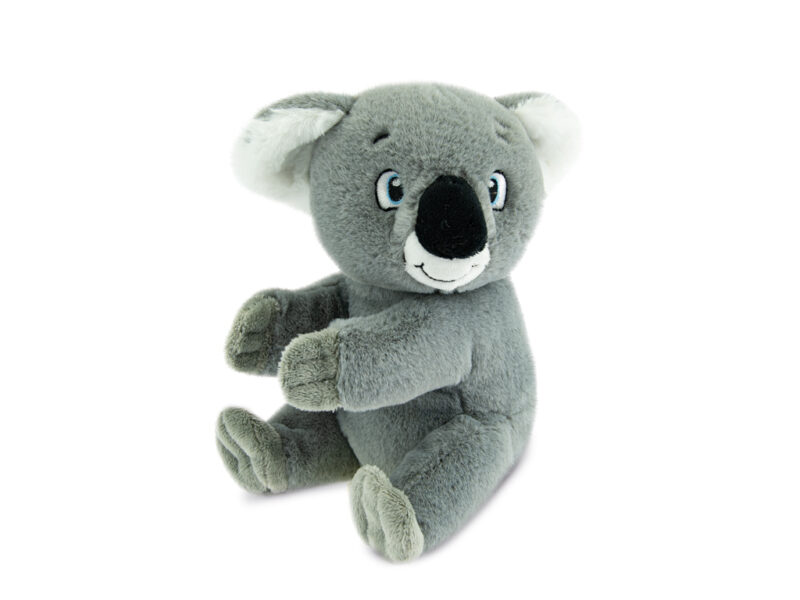 KOALA PELLUSH TEOREMA 19114017